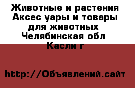 Животные и растения Аксесcуары и товары для животных. Челябинская обл.,Касли г.